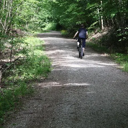 Luisenhof 3* Geisfeld