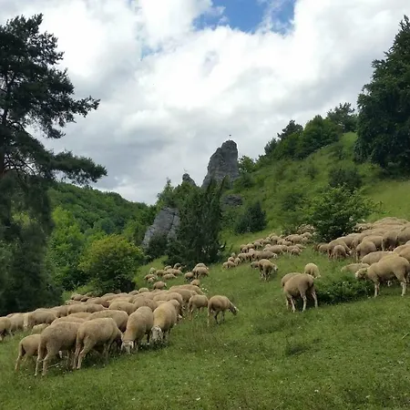Apartmán Luisenhof Geisfeld (Bavaria)