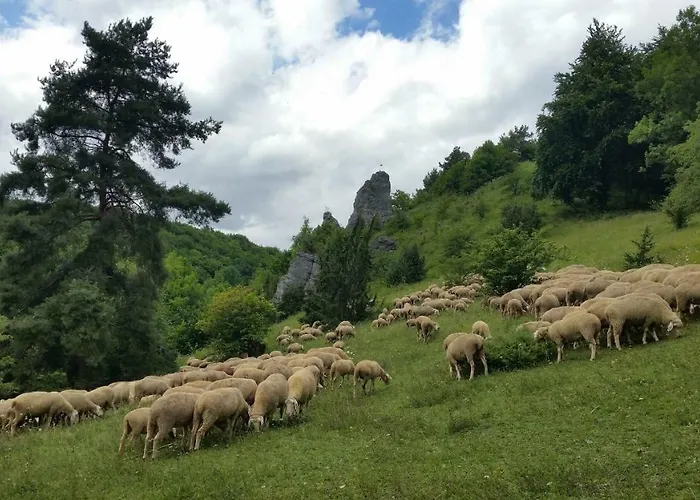 Apartmán Luisenhof Geisfeld (Bavaria)
